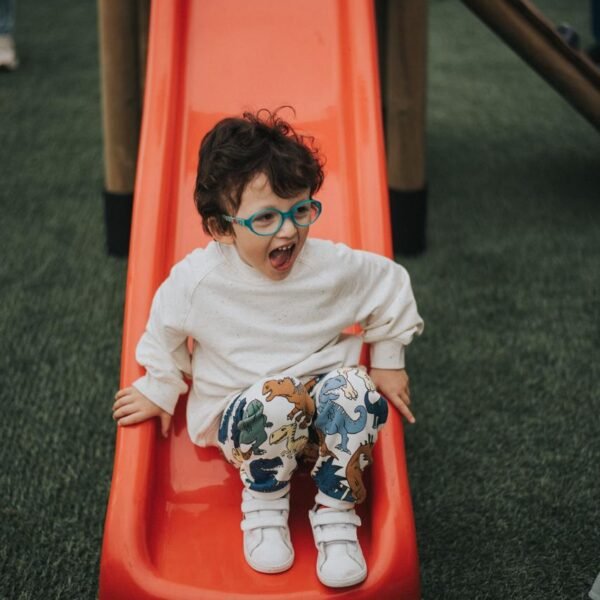 295f8f71-a72d-4cca-ba07-554b54f1b5e8