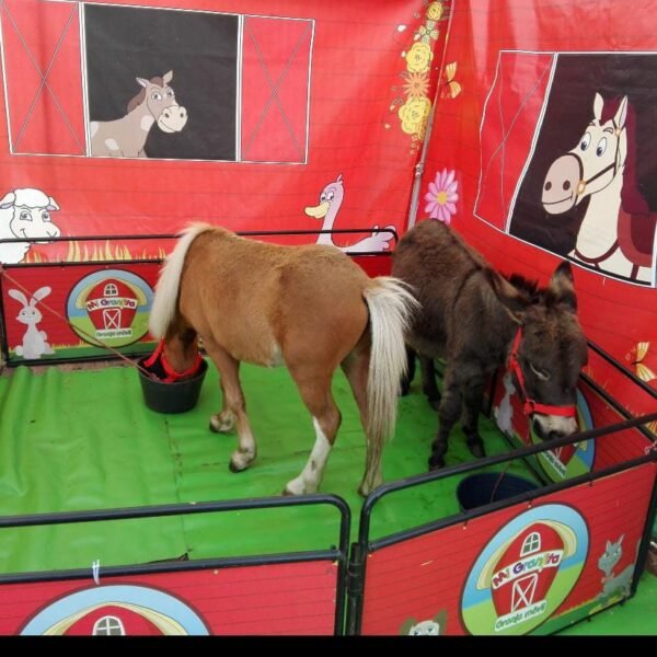 444defac-fca3-498e-848b-d0f4b24ce896