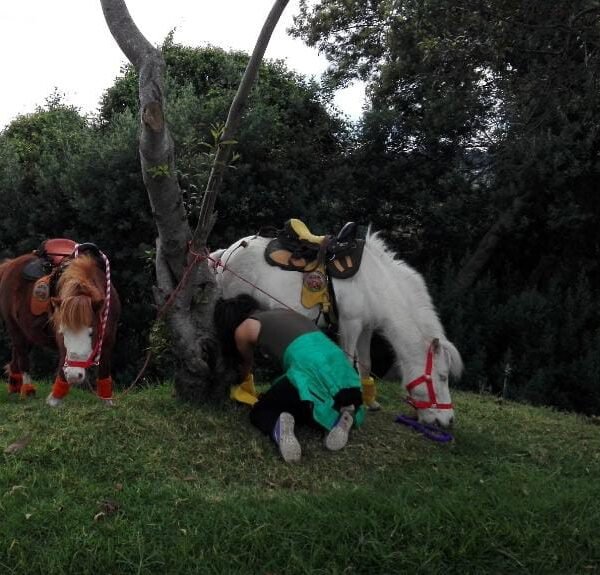 9607f445-282b-48ce-bfe1-1d8b03357c7c