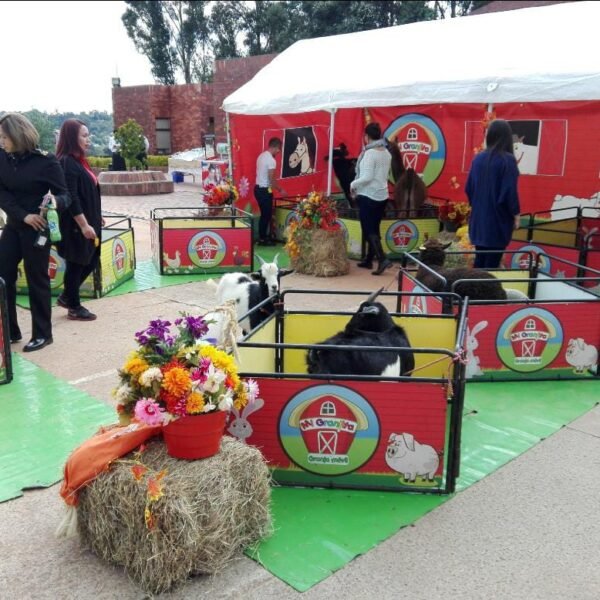 97f57a9e-69f1-48d0-b12d-328774bc86b6